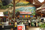 Jungle Bar