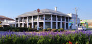 Mansfield Hotel